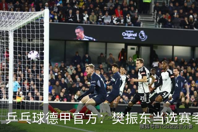 乒乓球德甲官方：樊振东当选赛季最佳 助队荣膺三冠王
