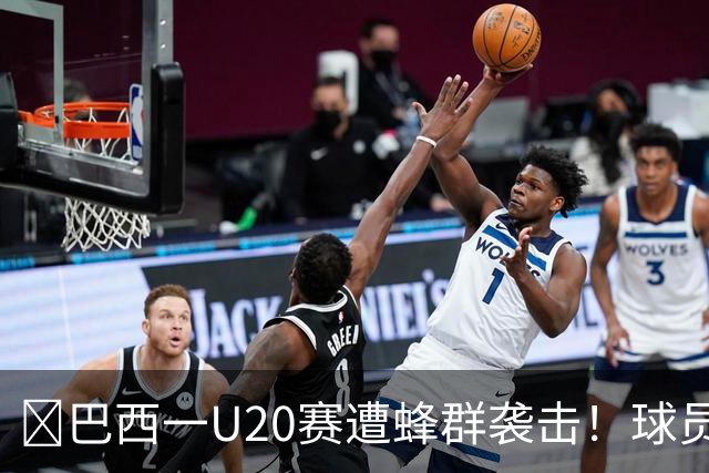 🐝巴西一U20赛遭蜂群袭击！球员裁判集体趴下！如何科学躲避？